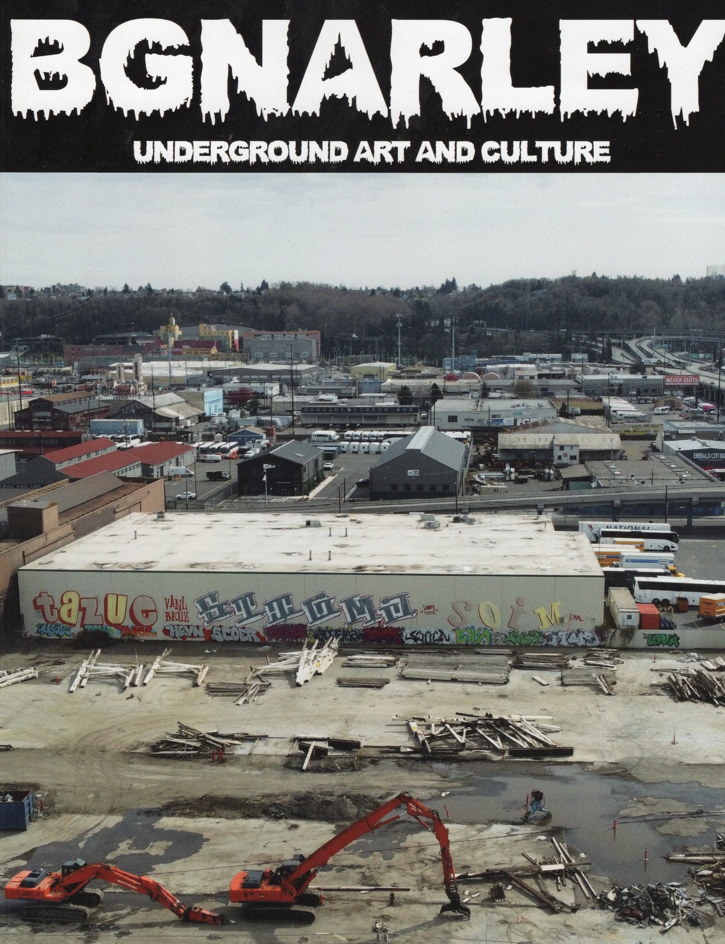 Bgnarley Zine - Underground Art and Culture Photos