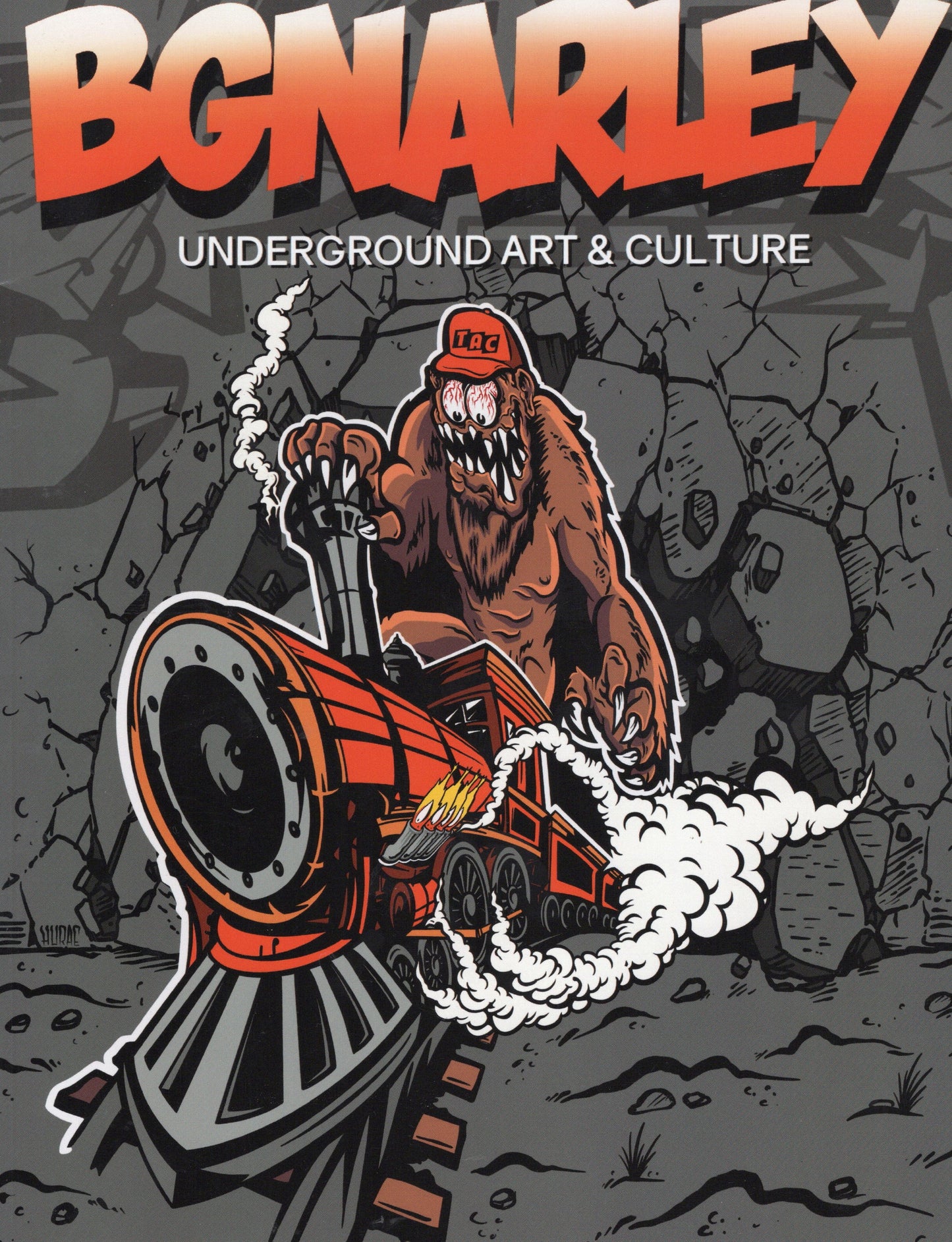 Bgnarley Zine - Underground Art and Culture Photos
