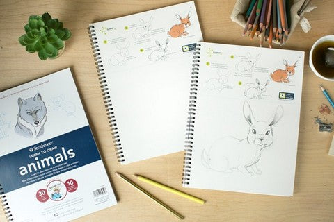 Learn 2 Draw Animals Strathmore